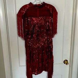 Garnet Fringe and Sequin Mini dress